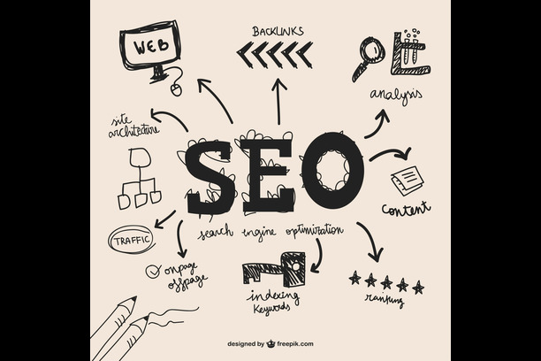 SEO Beginner Student Package